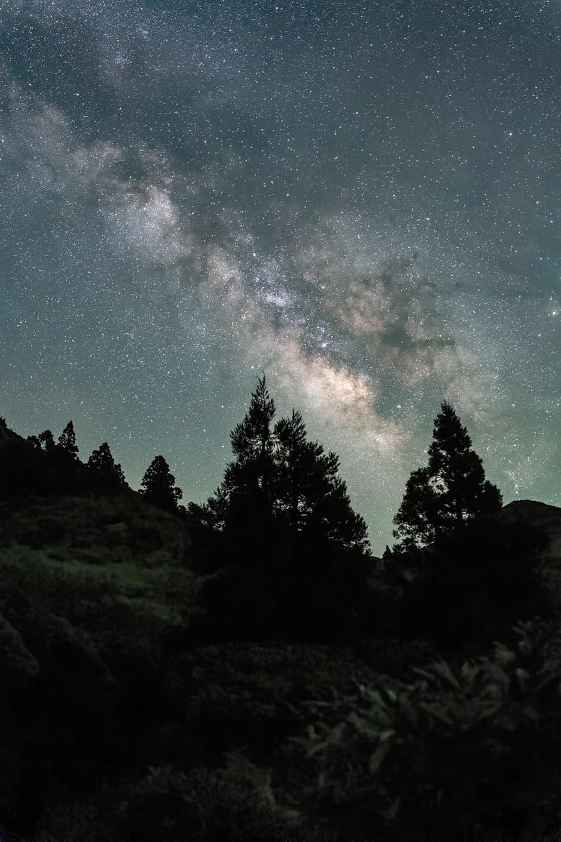 Bride under the Milky Way